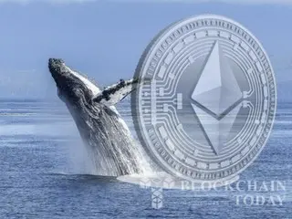 イーサリアムのクジラたち、4月の安値以降に保有量増加…14％増加