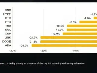 ブラックスワンの中で輝いた「ハイパーリクイッド」、なぜ投資家の注目を集めたのか