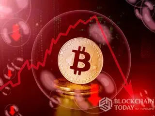 ビットコイン、1929年大恐慌と酷似か 「8万6000ドルから1万ドルへ」急落警告