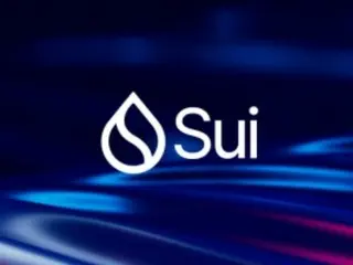 スイ、今年だけで7億3700万ドル資金流入…「2000年代韓国のように新興強者」