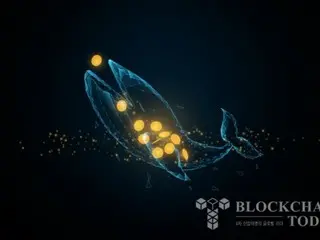 ビットコイン、10万ドル突破後「クジラ」が2日間で2万BTC購入