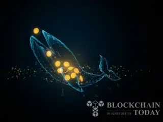 ハイパーリキッドクジラ、10億ドル規模のビットコイン「ロングポジション→ショート」に切り替え