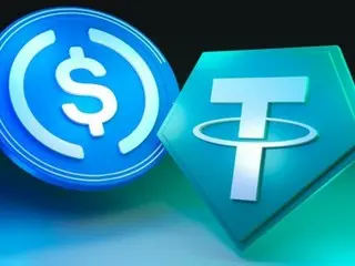 国際決済銀行「ステーブルコイン、通貨ではない」