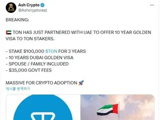 TON、「UAEゴールデンビザ」問題で急騰後急落…規制当局 「事実ではない」